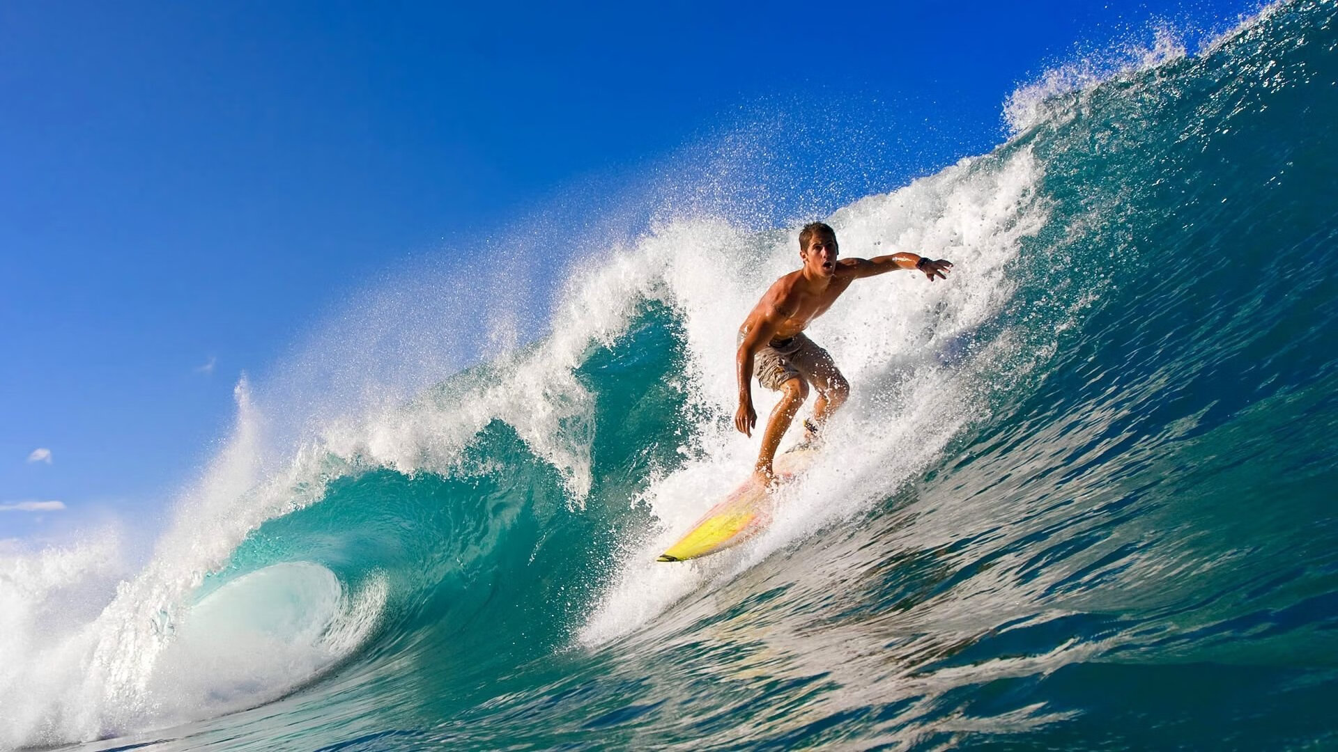 广东节奏猛龙，抢七战里，中国篮球的基因觉醒