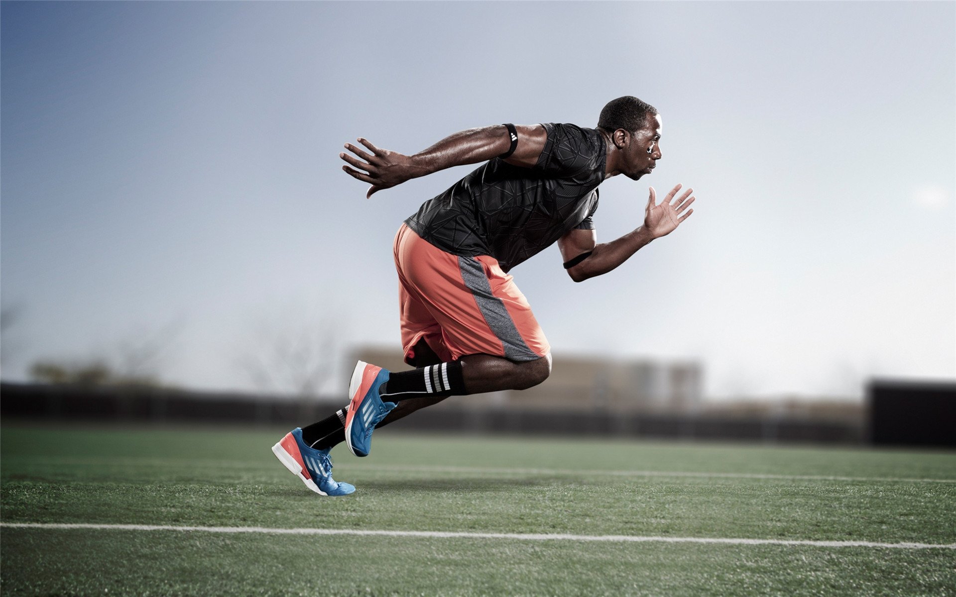 F1年度争冠焦点战，尼克斯踏平勇士，赛道与球场的双线狂飙